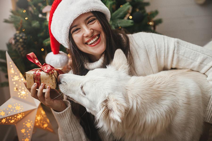 How to Look After your Teeth this Christmas